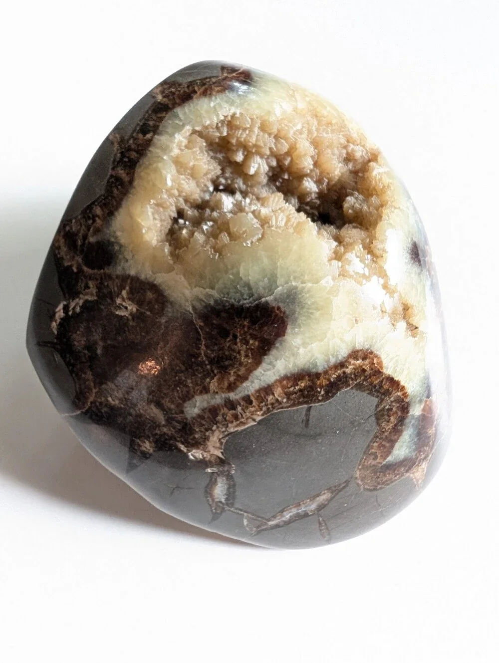 Large Septarian Nodule Stone Polished Crystal Filled